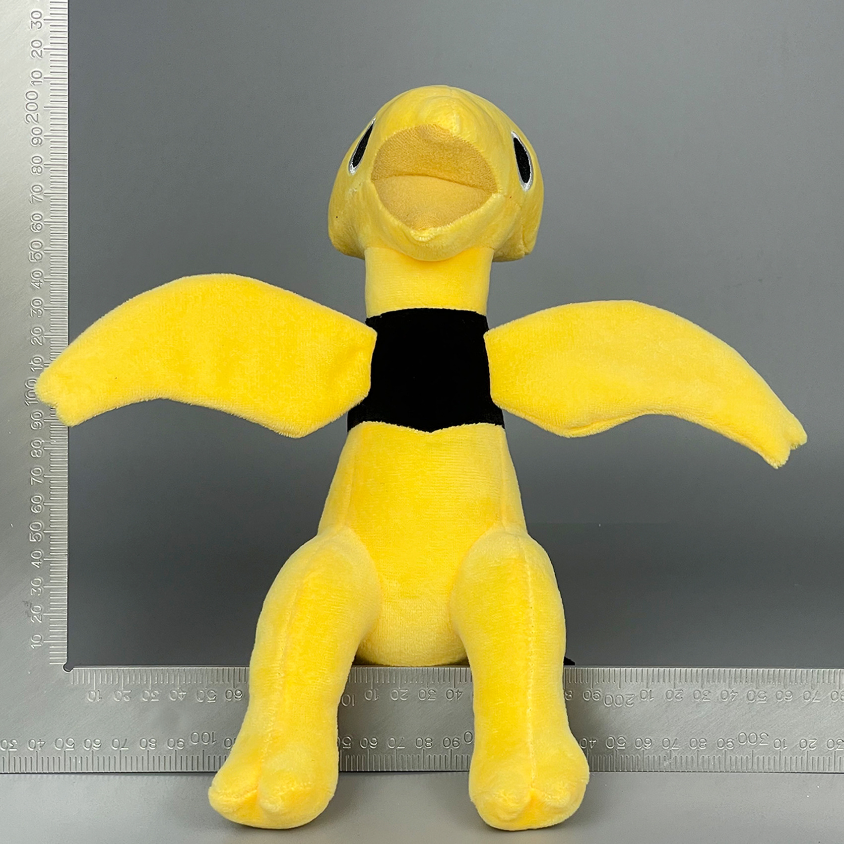 实拍 黄龙 (2).jpg