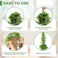 新款diy可彎曲椰棕棒綠蘿棒植物攀爬柱子室內植物支撐杆跨境園藝