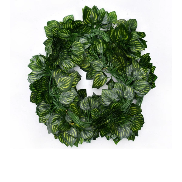 Watermelon leaf