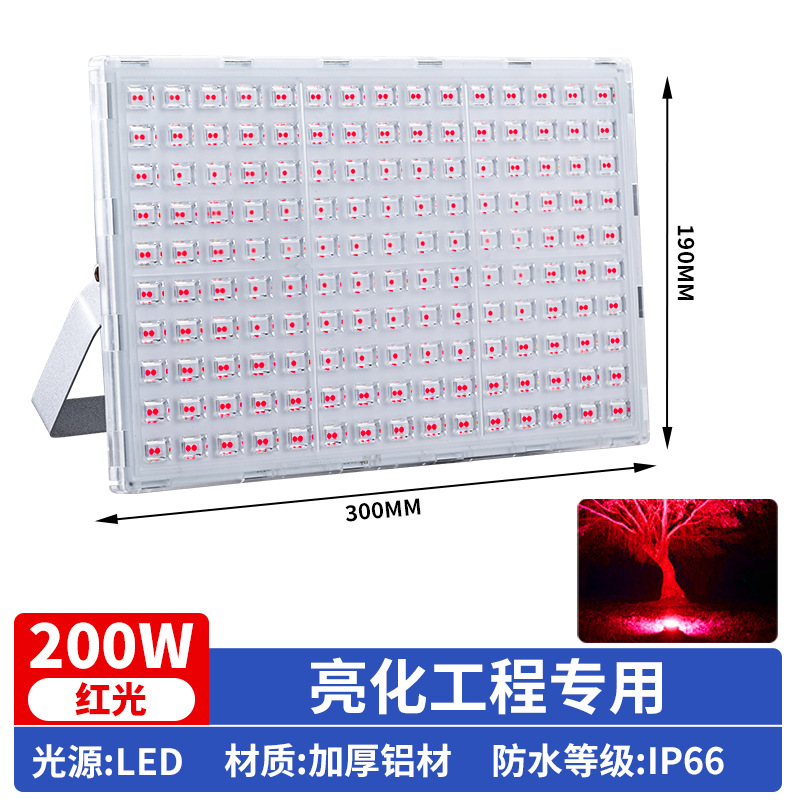 Monochrome red light [200w] lighting engineering special lamp
