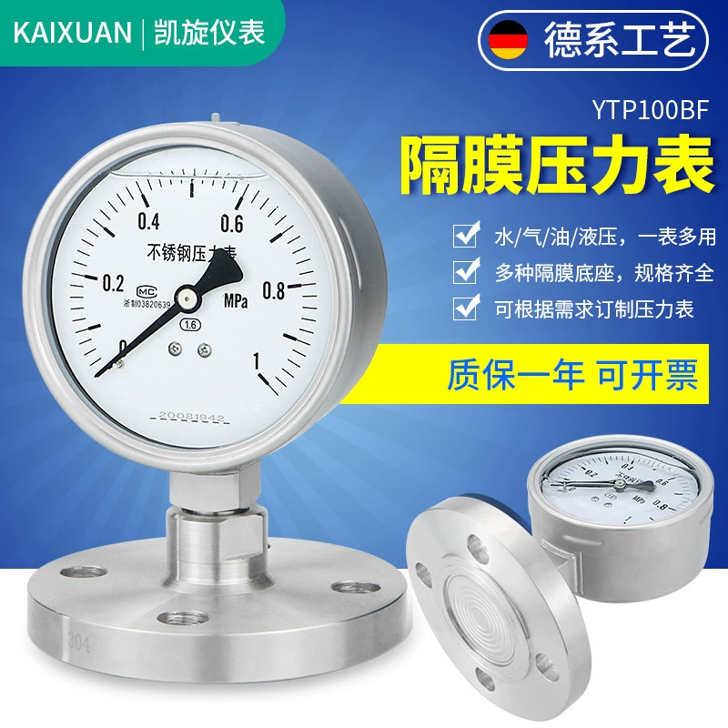 Производитель инструментов Triumph поставляет фланцевое соединение YTP100BF/MG, мембранный манометр из нержавеющей стали