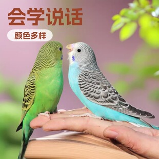 �W�^���B���ﻢƤ�W�^С�B���B���W�fԒ���B��B������С���W�^