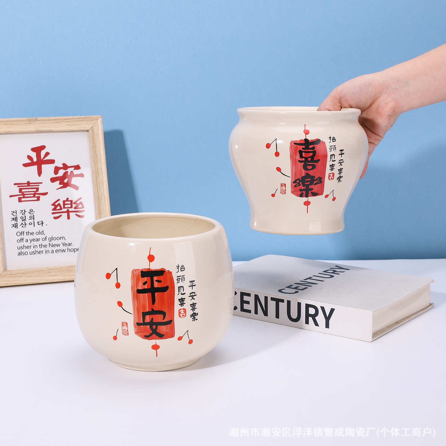 Peace and Joy Ceramic Flower Pot Money Tree Succulent Creative Small Flower Pot Home Living Room Office Decorative Vase