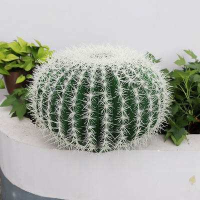 Northern Europe simulation Cactus Potted plant Botany Landscaping Decoration Green plant decorate Tropical Desert shop Showcase display
