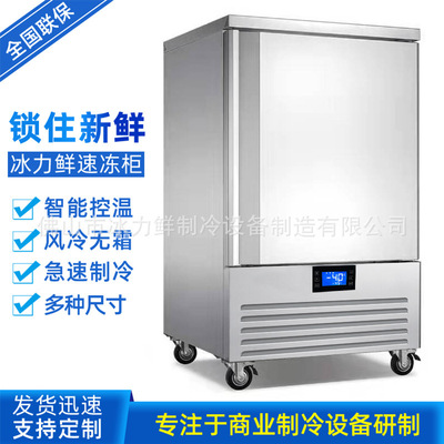 [5/10/15盘速冻柜海鲜冰淇淋包子饺子低温风冷速冻柜-40℃急冻柜]