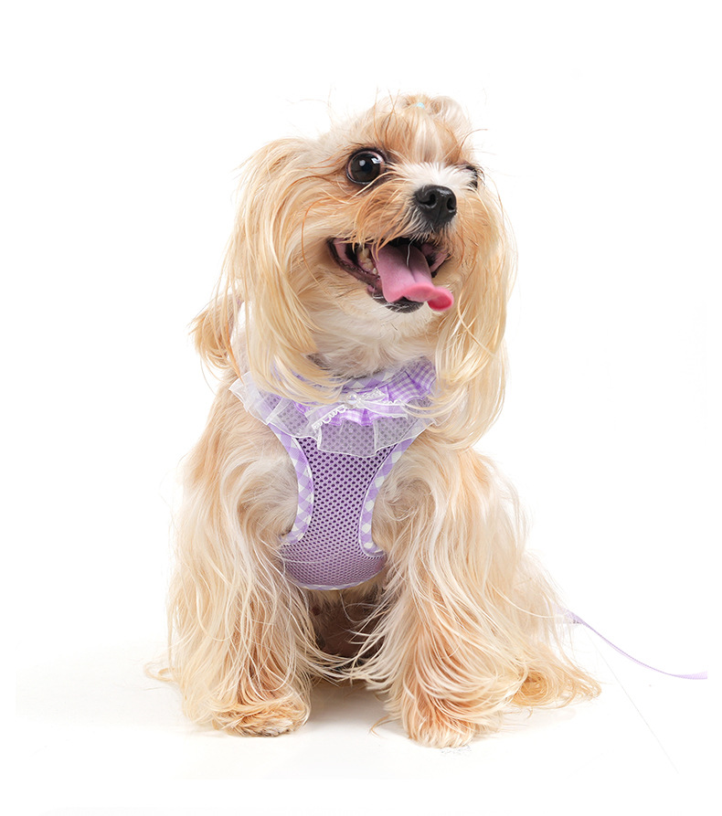 Arnés de pecho transpirable para perros con correa_voghion.com