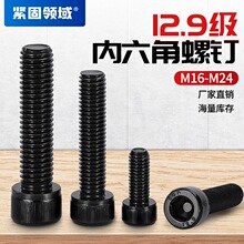 M16-M24Բ��ͷ�ݶ���������˨������ͷ12.9��DIN912��������˿