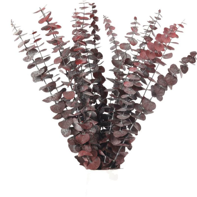 Eucalyptus Eucalyptus Eucalyptus Eucalyptus Eucalyptus Eucalyptus Eucalyptus Dried Flower Arrangement Photography Props