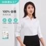v领免烫商务女士白衬衣