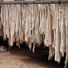 ӺƤ¹Ƥ܇܇,ƤƤƤ܇òƤ