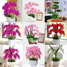 蝴蝶兰仿真花清仓捡漏假花摆设客厅餐桌花摆花绿植盆栽摆件装饰品