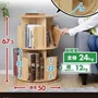 原木色存储畅销特殊书架