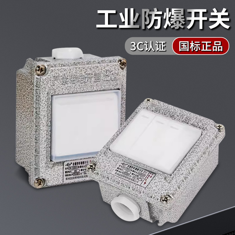 Explosion-Proof Wall Switch 220V10A Surface-Mounted and Concealed Installation Type 86 Metal Single-Link Dual-Control Industrial Socket for Factory Workshop Explosion-Proof Wall Switch 220V10A Surface-Mounted and Concealed Installation Type 86 Metal Single-Link Dual-Control Industrial Socket for Factory Workshop
