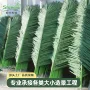 圣杰仿真叶子手感树叶