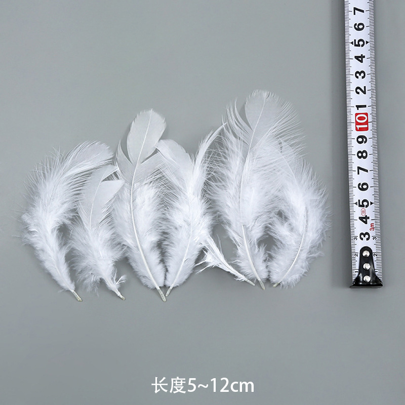 포마오(100의 배수로 주문)