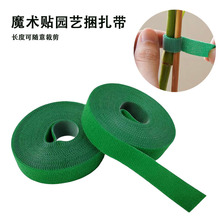 �Gɫֲ�ｉ�������������p����ճ�@�����ٶ�������ħ�g�N�Gֲ����