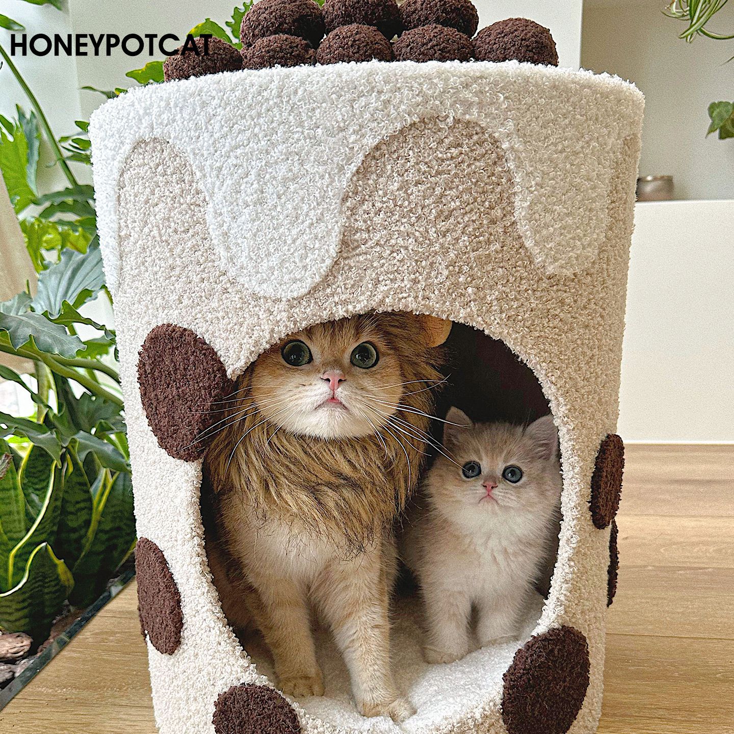 Комплекс для кошек Кактус 220380a