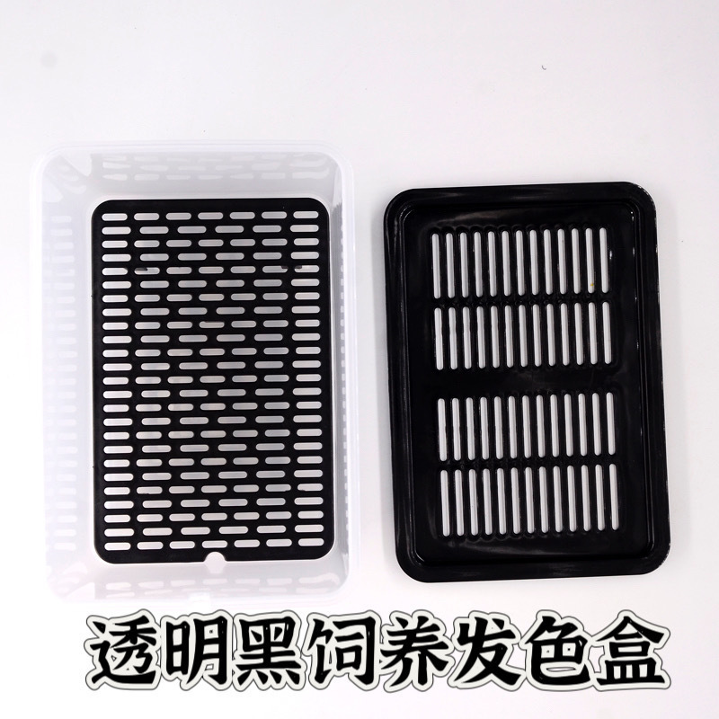 乌龟发色盒幼龟孵化饲养盒蛋龟加温黑白隔离龟苗饲养套盒带沉淀板|undefined