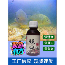 顿口中药酒钓鱼添加剂酒鲫鲤草鱼小药饵料野钓黑坑泡酒米诱鱼红虫