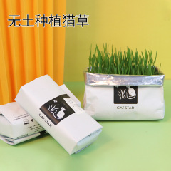 Cat grass cross-border lazy no-soil wheat seed promotes digestion cat retail nutrition no-soil cultivation cat grass wholesale