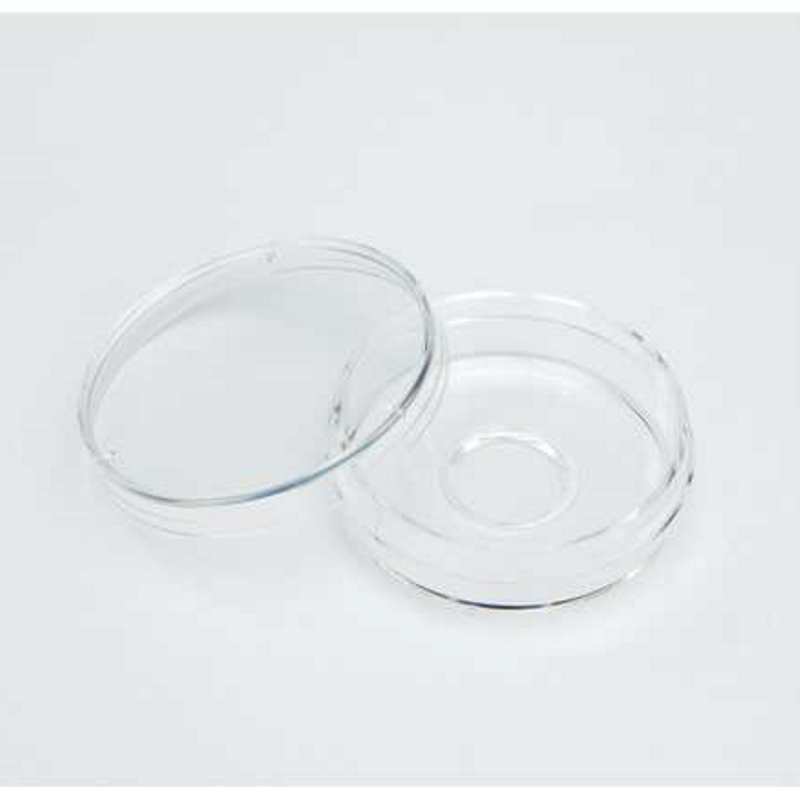 Thermo Scientific150680Nunc™ 玻底培养皿，case of 20，现货