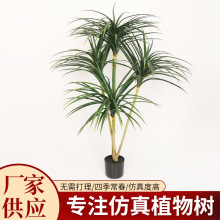 ������Ѫ�����ǧ��ľ�͏d��ر��W�L������쾰�Gֲ����ֲ������