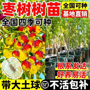 �����糬���󴗗������ϱ����NֲͥԺ���Ǘ�����玧��������