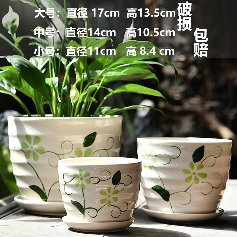 세라믹 - 스프링이 가득한 화분 3종세트 - 대형