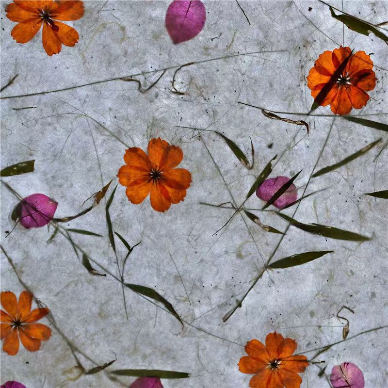 장미 붉은 풀 종이 80*55cm