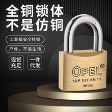 OPELȫ�~���iʮ��耳׻��η��I�i���P�����~�i���T����ȫ�~�W���i