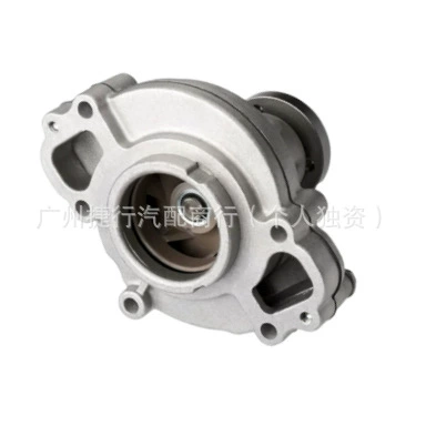 Land Rover Discovery, water – Water pump