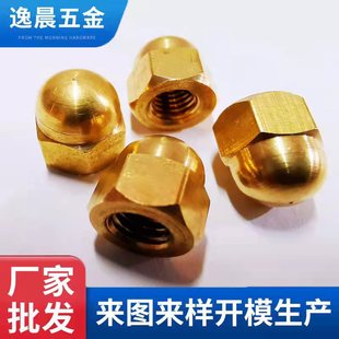 �S�N�~�w����ĸ �~�w����ĸ ñ ĸ ���D���A�ݼy�A��