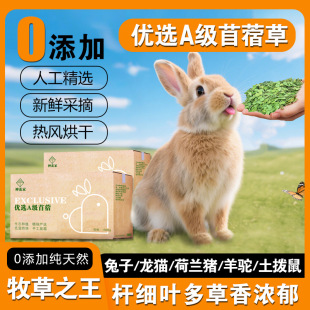 ��ޣ�ݺ���ϻ����ݴ��~���x���b������؈���m�i�������