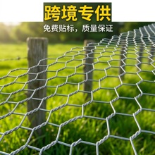 出口镀锌六角网跨境六角铁丝网工艺六边形养殖网花艺造型网鸡笼网