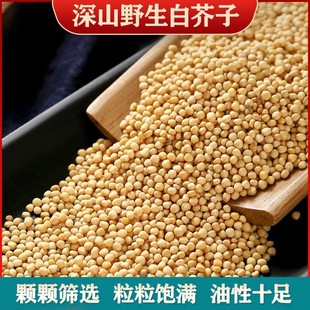 Ұ���׽���500g�˰׽��ӷ������ӽ���ӳ��׽����ݲ�С���ݺ�؛