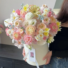 ����������֦����Ͱ�������������|�ۮ��I�̎������նY��