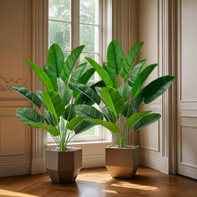 �羳���l�҃ȷ���Gֲ�b[��ֲ���p����������B���˽����Կ͏d