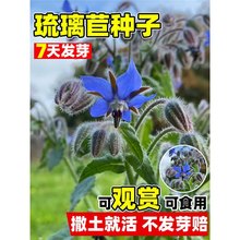 ķNļN_׻̨ͥԺϻǲԿʳ߲˷N