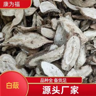 ���` ɽ�ع� Ұ�t�� �׸���צ����ș�� �����]����ĥ������