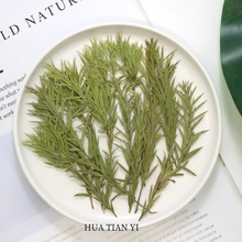 ǧ�ӽ�ɻ���������~ֲ��˱����z�֙C�����̨��Ϟ�T���ϰ����l