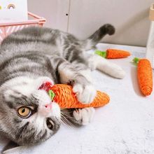 猫咪玩具胡萝卜不易咬烂小猫磨牙棒内置响声解闷幼猫自嗨猫玩具