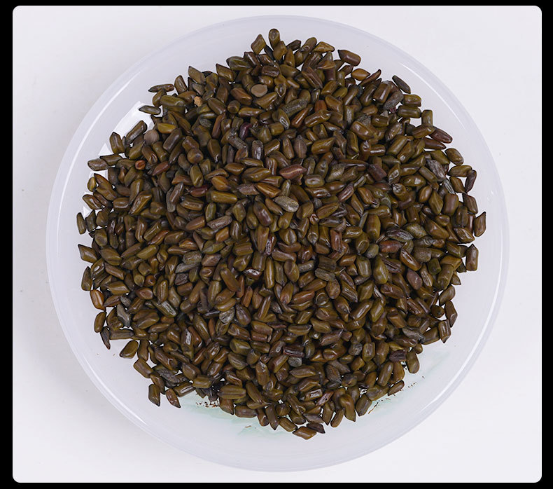 Roasted Cassia Seed Tea (Semen Cassiae) — Jue Ming Zi Herbal Tea, 260g Jar preparation