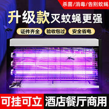 ���ß����ò�����e��ω��^����҃ȑ�����ß��o늳�