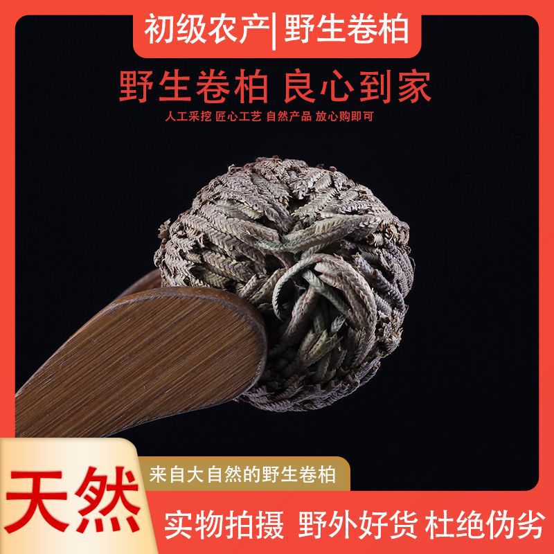 卷柏九死还魂草假山组合吸水石菖蒲花卉植物盆景盆栽花草粘干花