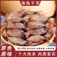 海兔干海兔子小鱿鱼仔笔管鱼乌贼干墨鱼仔海鲜水产小管鱿鱼仔代发