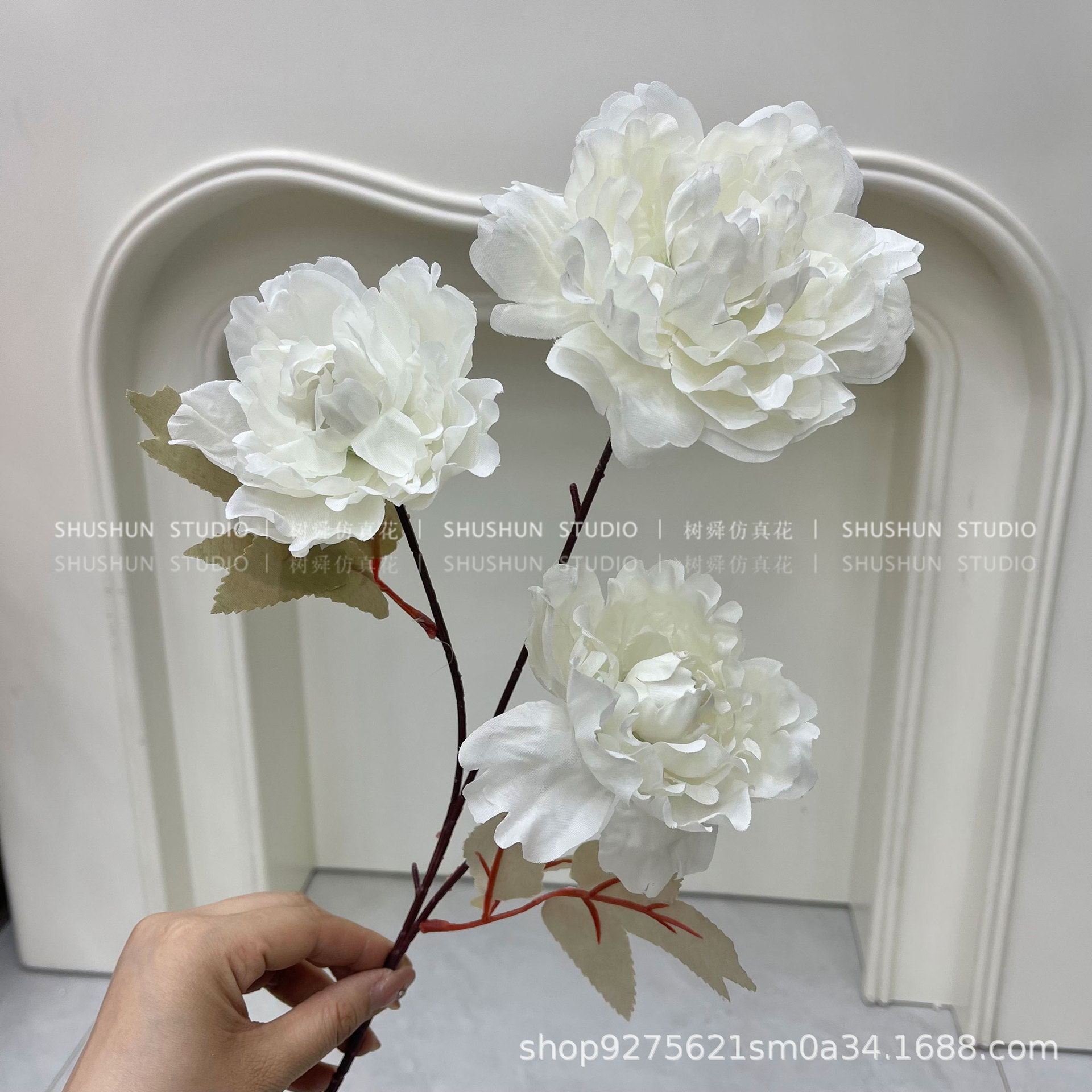 Peonía Xiantao-Blanco