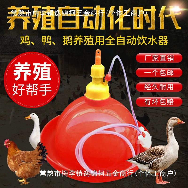 Утолщенная празон для утки и гуся с курицей с автоматическим питателем для воды с чайником для разведения курицы Оборудование для разведения курицы
