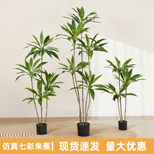 高端仿真绿植物七彩朱蕉树民宿酒店客厅大型落地装饰仿生植物盆栽
