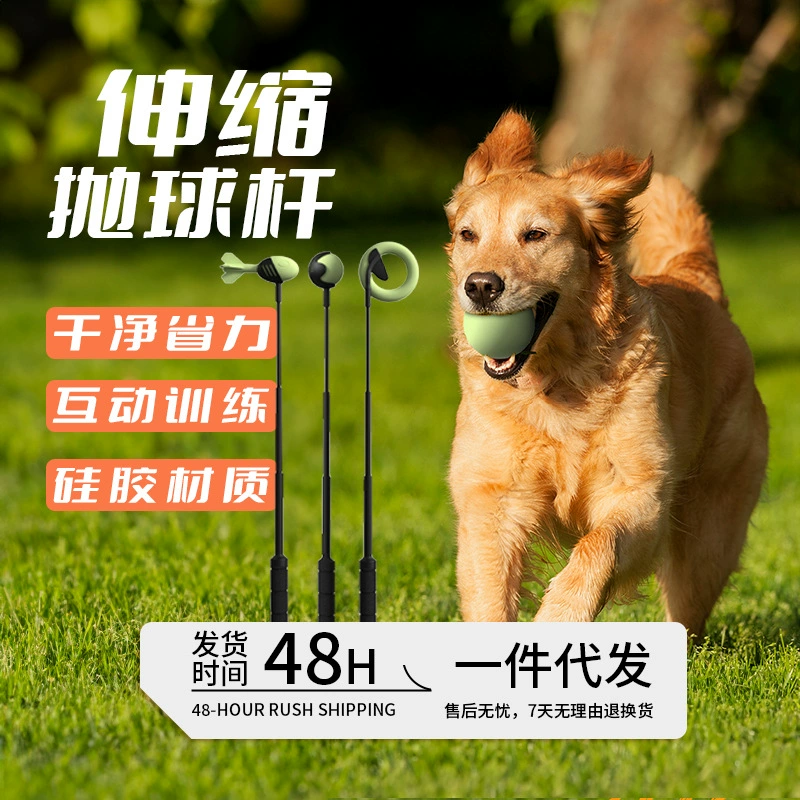 Трансграничные амазонские домашние животные бросают клюшки на открытом воздухе интерактивные тренировки