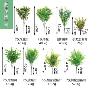 ?�羳ˮ�� �ȼ���ާ�7��С��˹��ֲ��廨�b[����